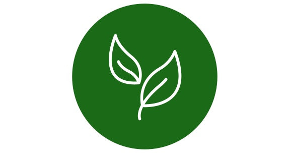 leaves in green representing kanin's proprietary blend made from naturally based ingredients